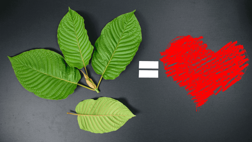 Why I’m In Love With Red Bali Kratom