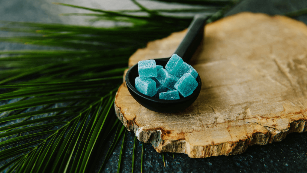 What You Should Know About CBD Gummies