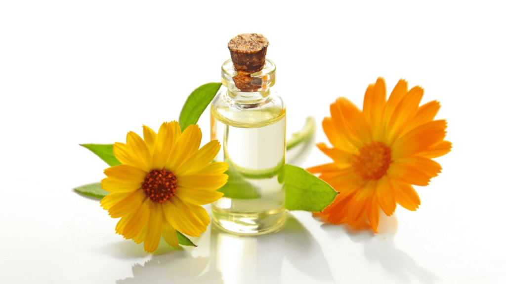 Why CBD Oil Could Be An Integral Part of Your Day