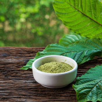 3 Things To Remember Before You Buy Kratom Powder For Sale 3 Things To Remember Before You Buy Kratom Powder For Sale