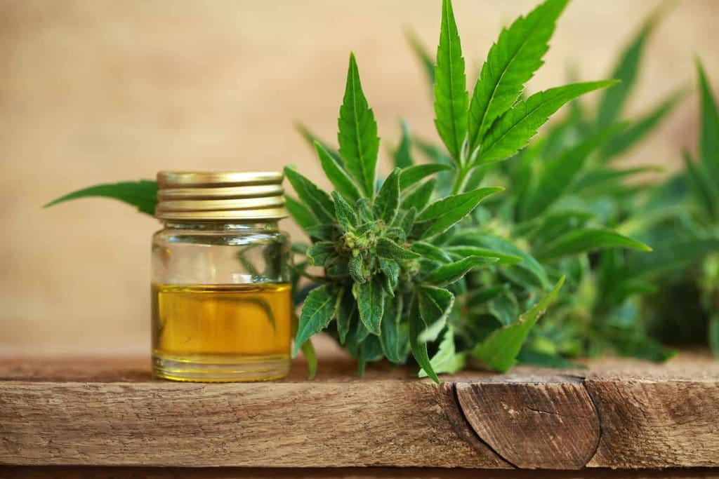 3 Reasons Why Ignoring to Buy CBD Oil Will Be A Mistake